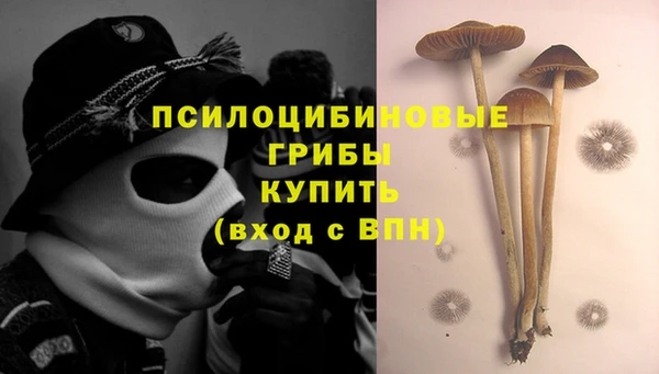 ECSTASY Няндома