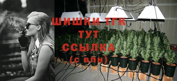 ECSTASY Няндома