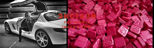 ECSTASY Няндома