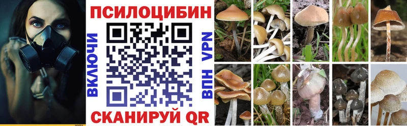 Псилоцибиновые грибы GOLDEN TEACHER  Каневская 